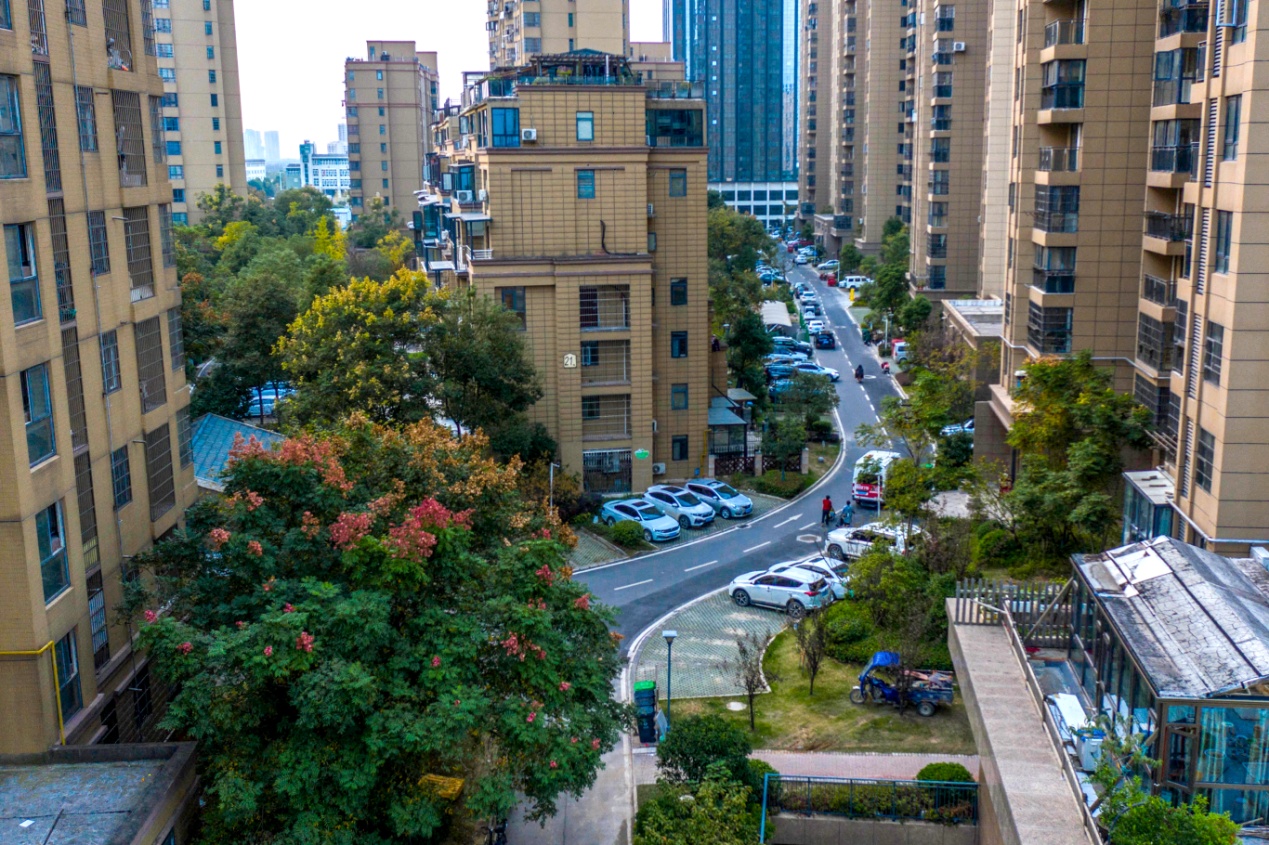 圣特立?國(guó)際花園